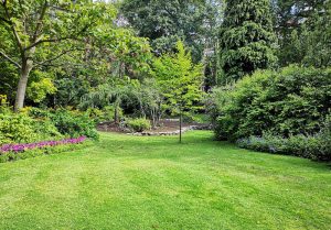 Optimiser l'expérience du jardin à Domecy-sur-le-Vault