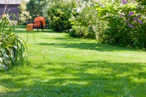 travaux jardin et paysage Domecy-sur-le-Vault